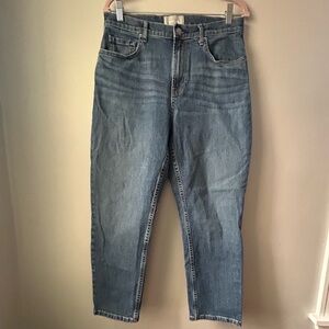Everlane blue high waisted straight jean size 31 / 12